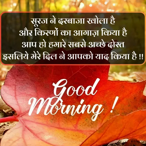 Friend Good Morning Shayari