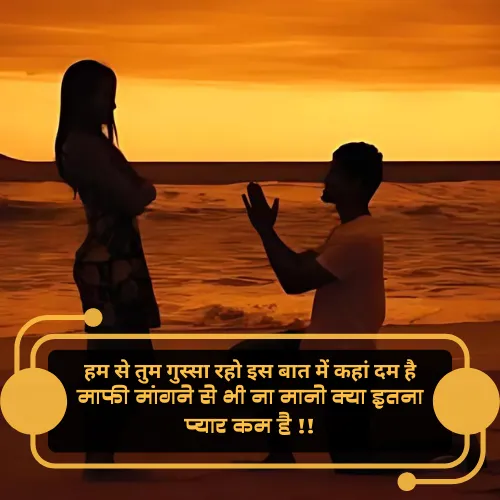 Love True Love Sorry Shayari