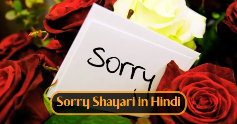 Sorry Shayari